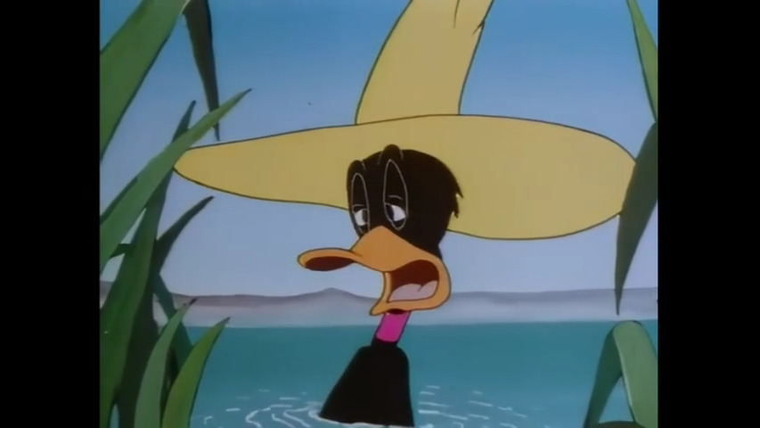 A Coy Decoy