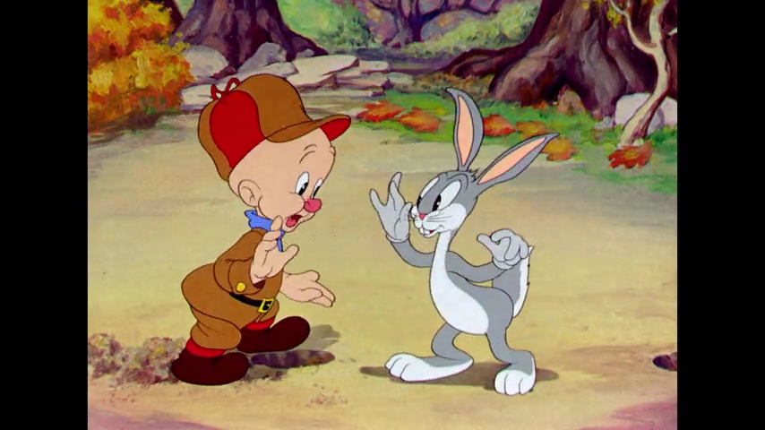 A Wild Hare