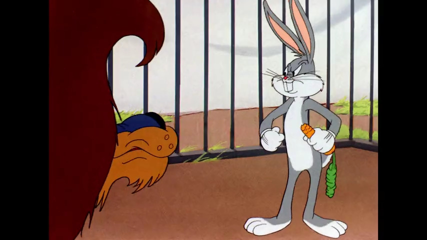 Acrobatty Bunny