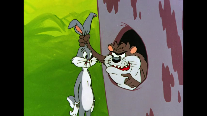 Bedevilled Rabbit