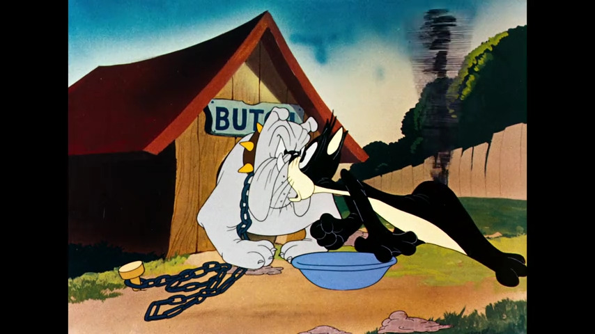 Birdy and the Beast
