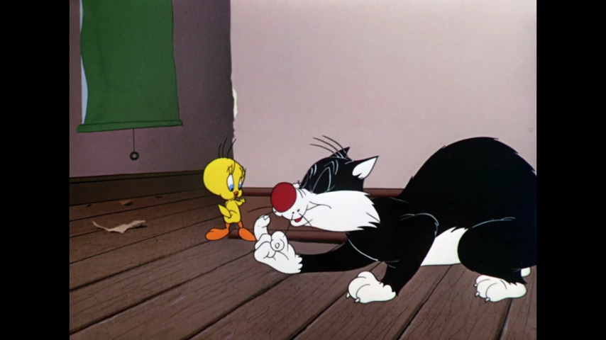 Catty Cornered