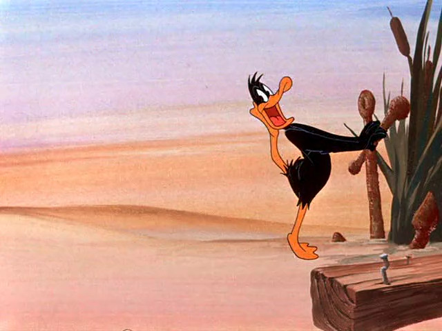 Daffy Duck Hunt