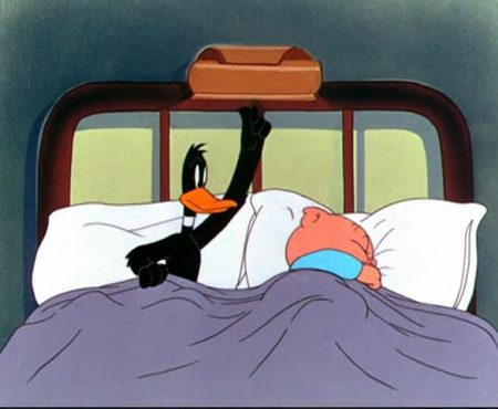 Daffy Duck Slept Here