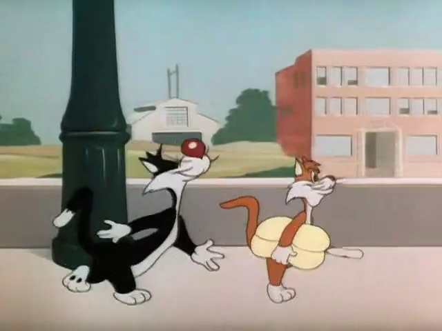 Doggone Cats