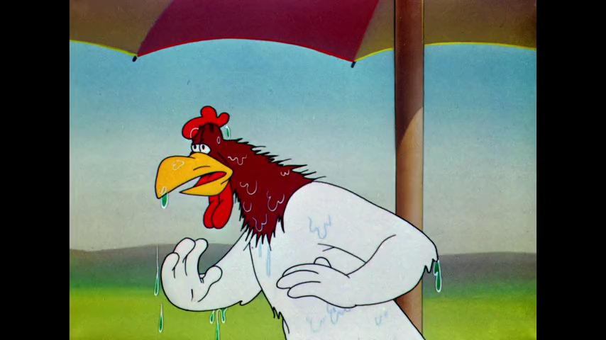 Lovelorn Leghorn