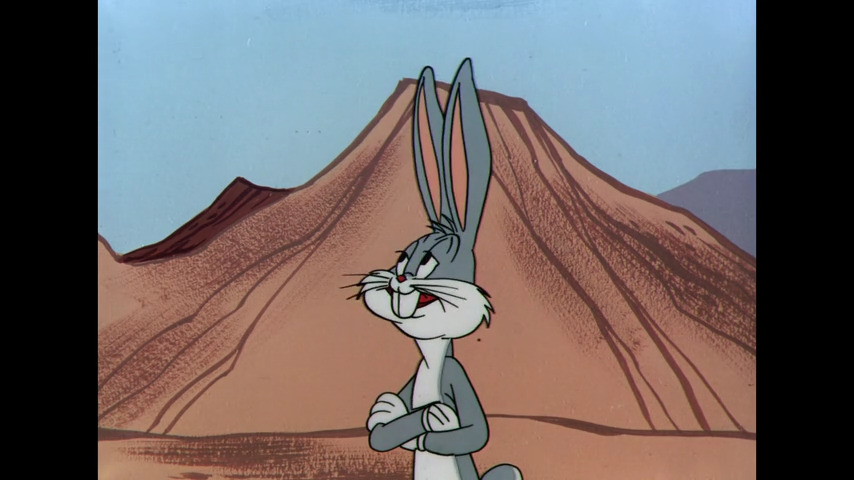 No Parking Hare
