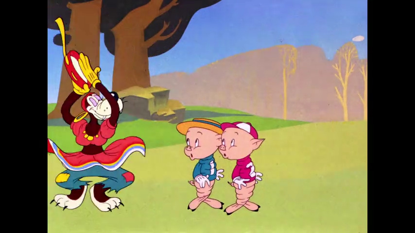 Pigs in a Polka