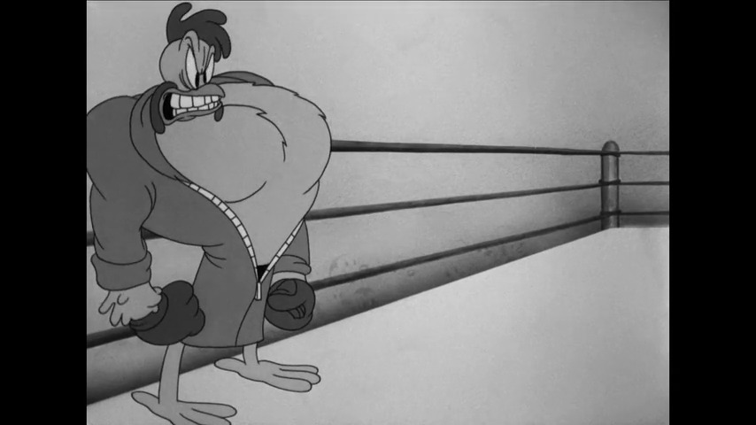 Porky & Daffy