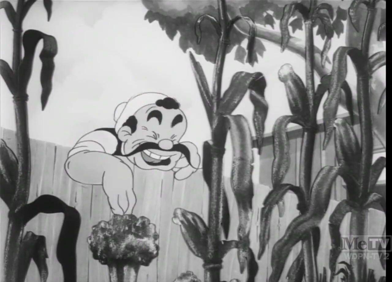 Porky's Garden