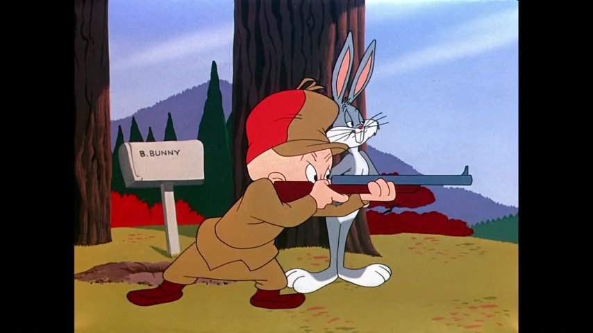 Rabbit Fire