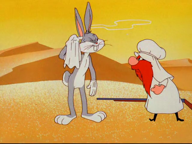 Sahara Hare