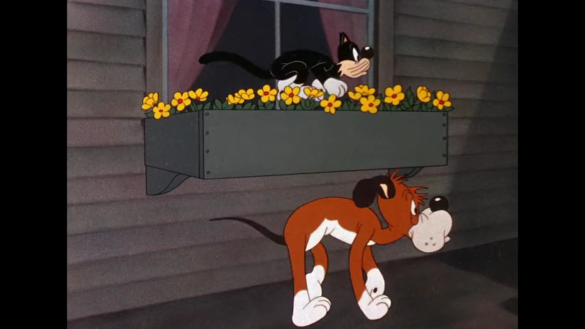 The Hep Cat