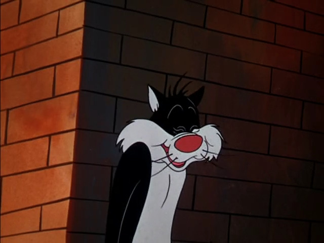 The Last Hungry Cat