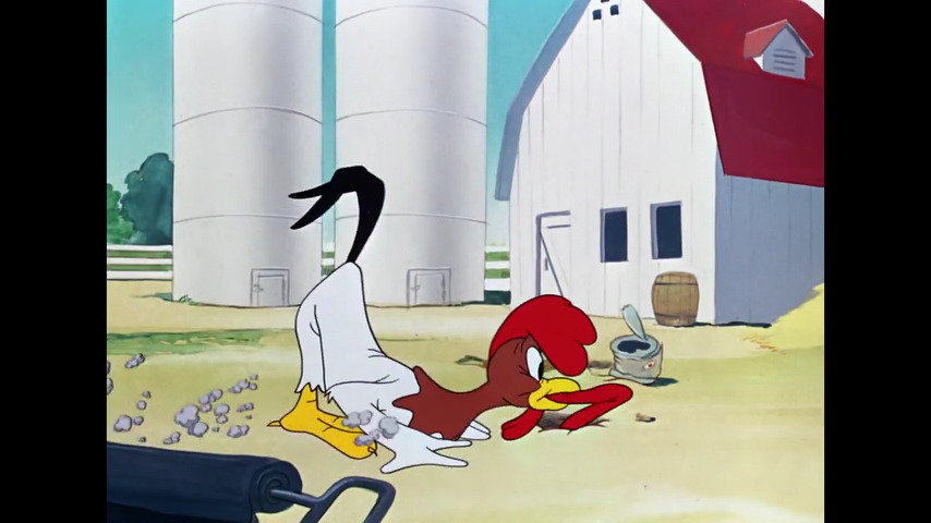 The Rattled Rooster
