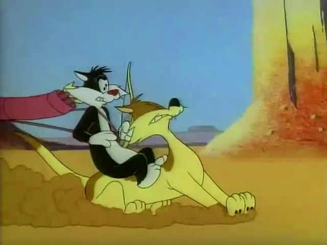 Tom Tom Tomcat