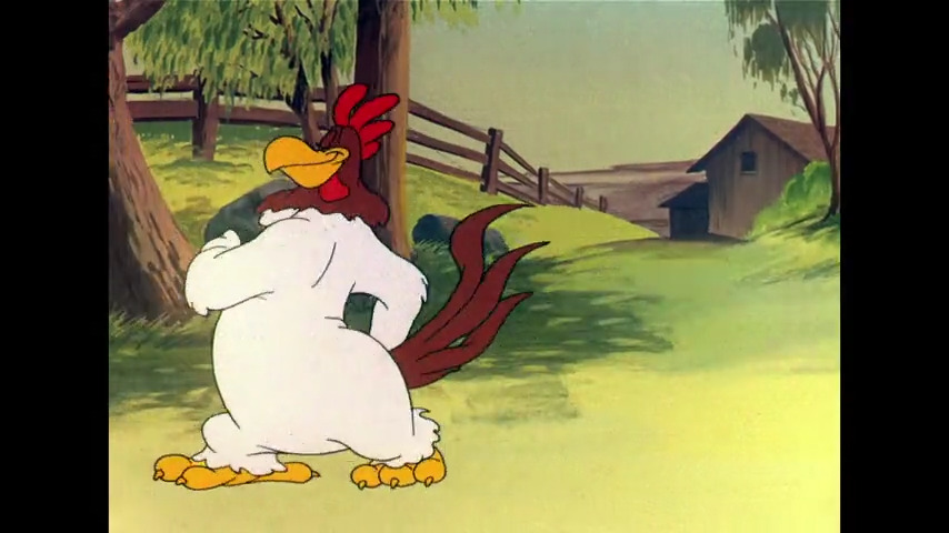 Walky Talky Hawky