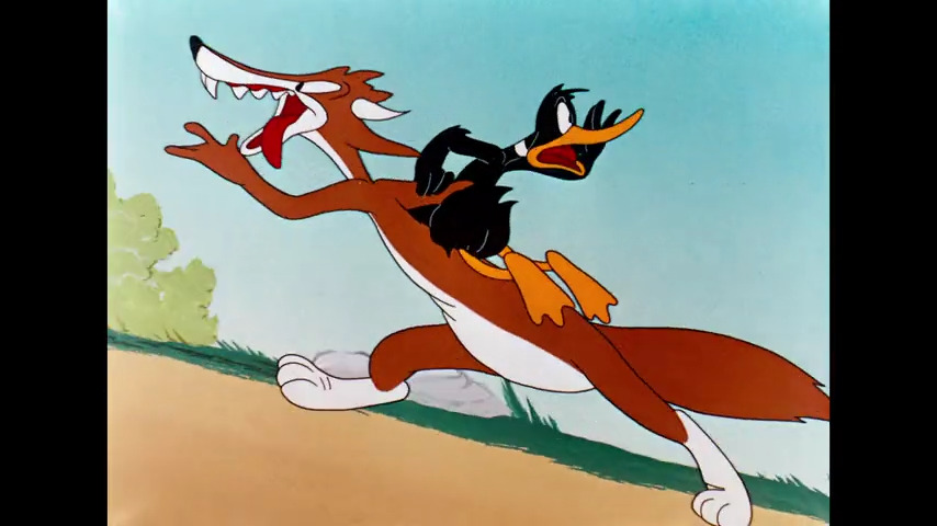 What Makes Daffy Duck