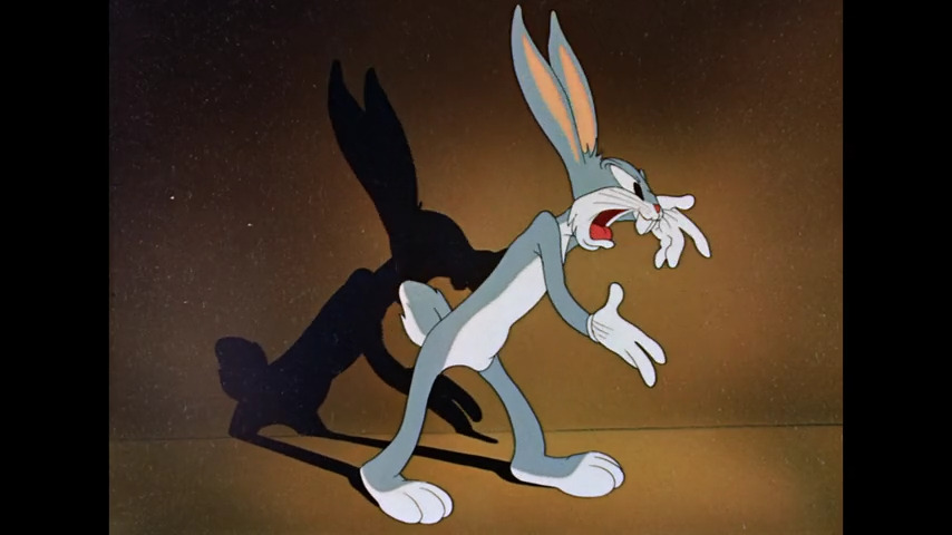 What's Cookin' Doc?