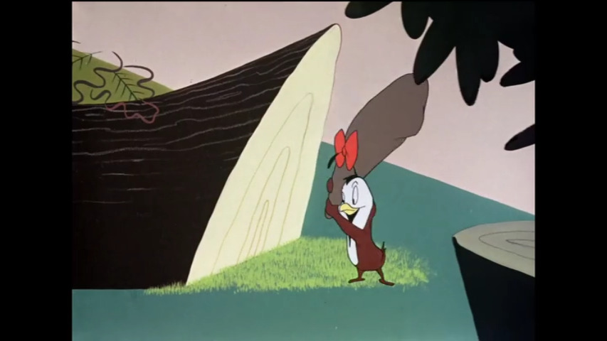 Quentin Quail