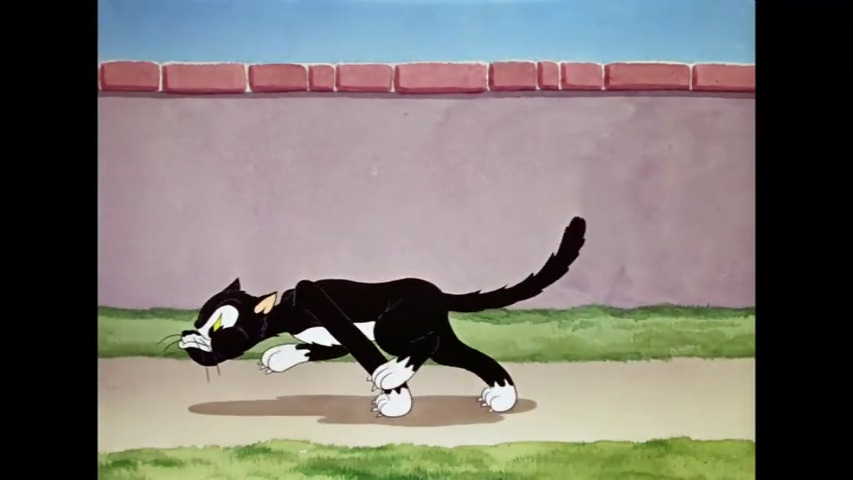 The Cat's Tale