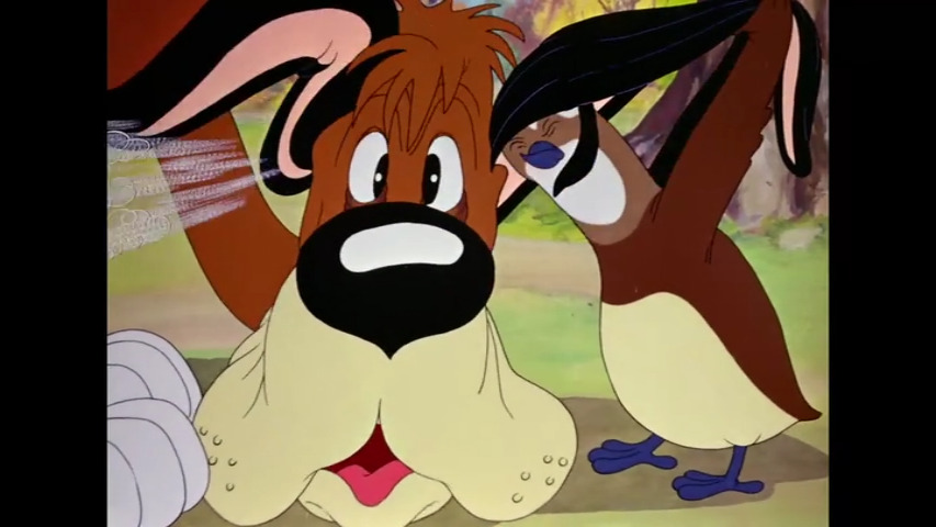 The Crackpot Quail