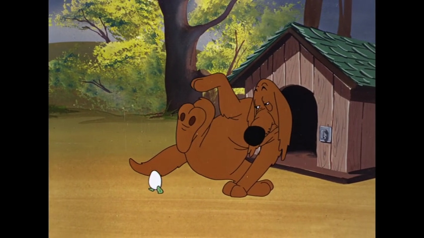 The Shell Shocked Egg