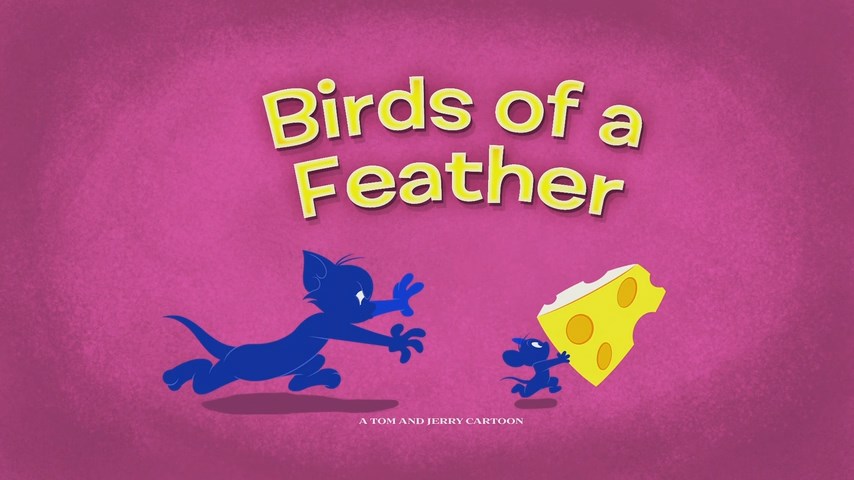 Birds of a Feather