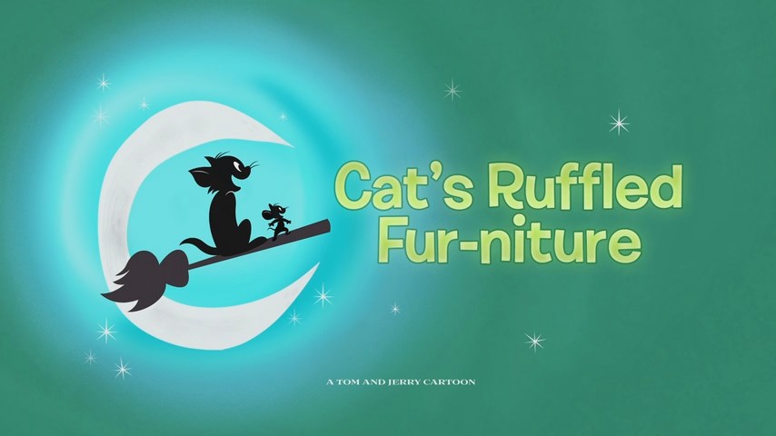 Cat's Ruffled Fur-niture
