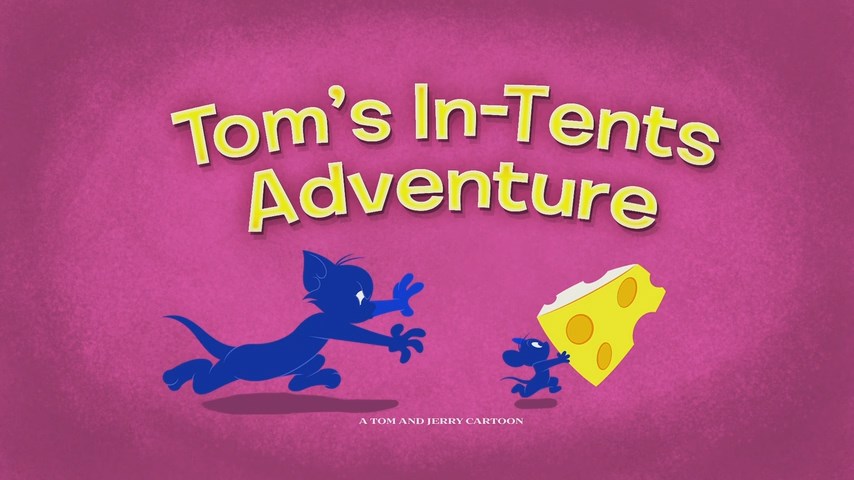 Tom's In-Tents Adventure