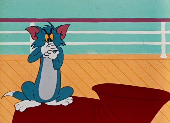 Calypso Cat
