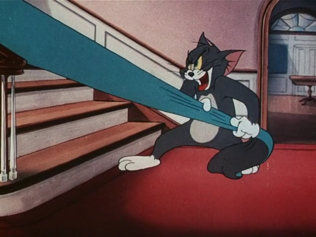 Shutter Bugged Cat