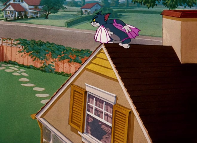 The Flying Cat