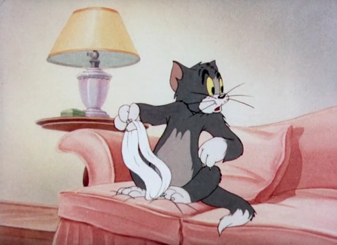The Million Dollar Cat