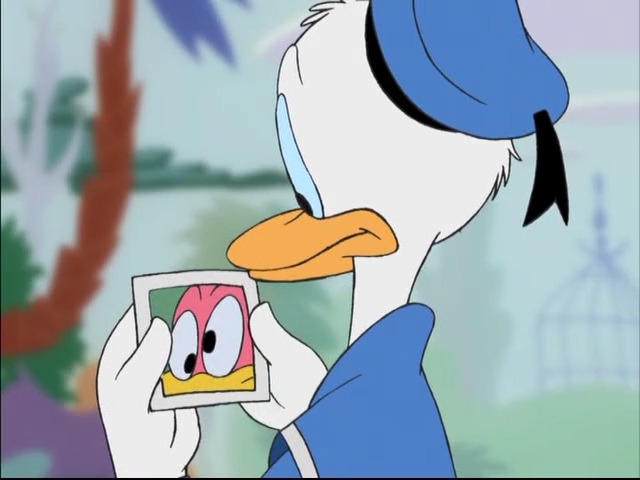 Bird Brained Donald
