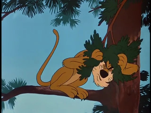 Father's Lion