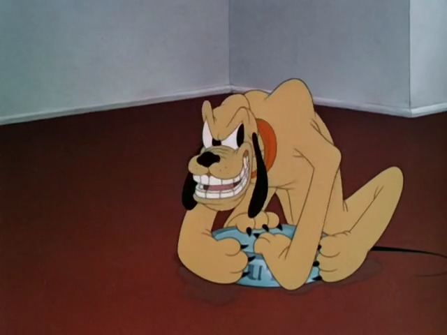 Lend a Paw
