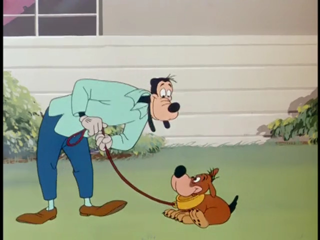 Man's Best Friend