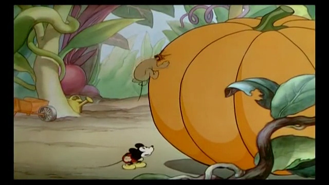 Mickey's Garden