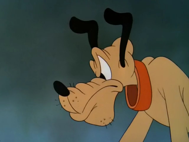 Pluto and the Armadillo
