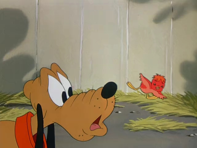 Pluto's Fledgling