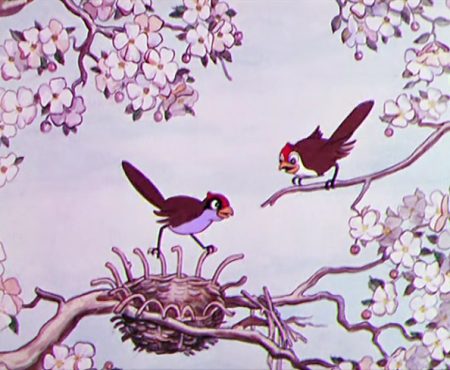 Birds in the Spring