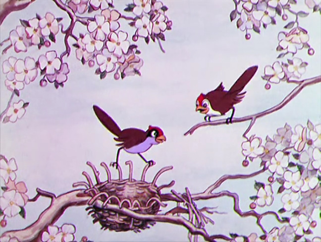 Birds in the Spring