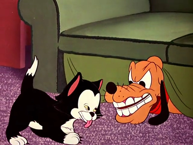 Cat Nap Pluto