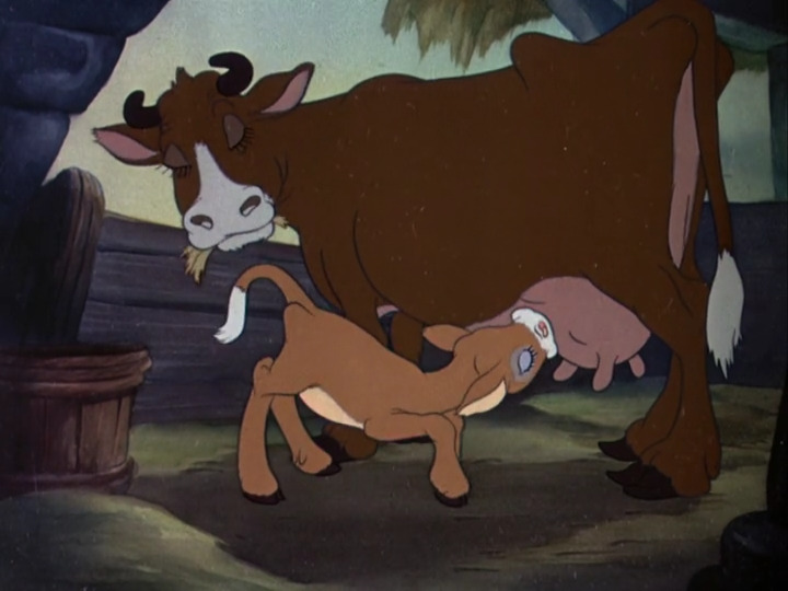 Farmyard Symphony