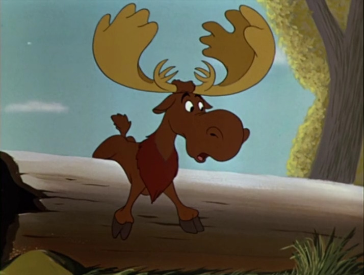 Morris the Midget Moose