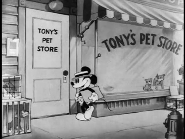 The Pet Store
